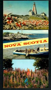 #174 (5) Pcs. Nova Scotia Yarmouth Lighthouse Lobster Pot Tuna Catch Mem. Bridge