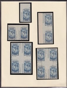 1935 Sc 768 Farley imperf Byrd NGAI Cross Gutter Blocks & Gutter Pairs (Page