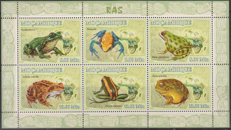 L) 2007 MOZANBIQUE, TOAD, ANIMALS, MAP, FROG, MANTELLA, PYXICEPHALUS, DENDROBATI