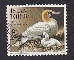 Iceland   #722   used  1991  birds   100k  Sula