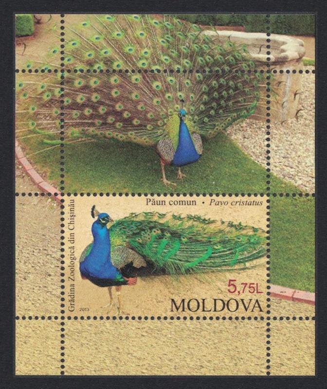 Moldova Peacock Zoological Garden MS