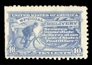 United States, Special Delivery #E10 Cat$340, 1916 10c pale ultramarine, hing...