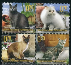 BOSNIA SERBIA(092) - Fauna - Cats - MNH(**) Set - 2009