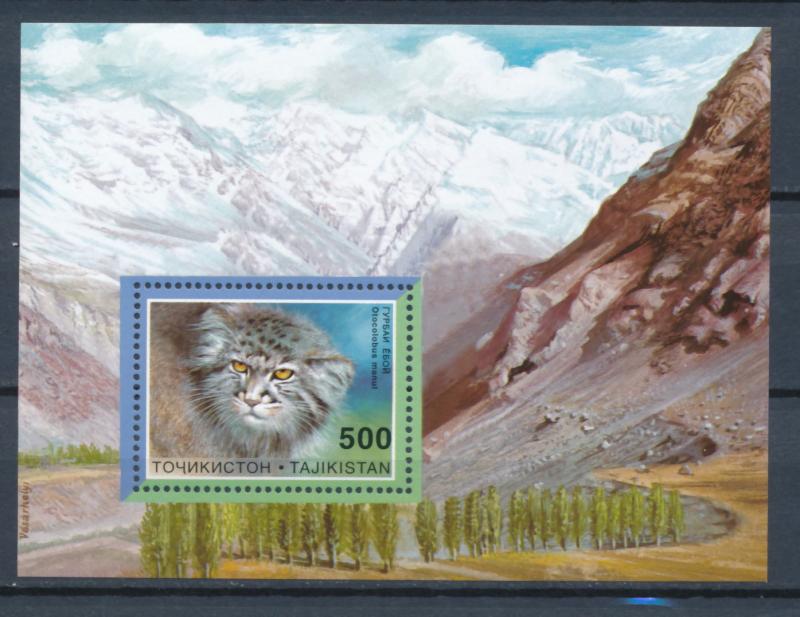 Tajikistan 1995 Scott 98 shouvenir sheet of 1 MNH - World Wildlife fund, big cat