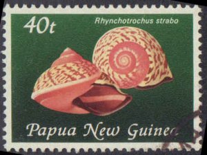 Papua New Guinea #549-553, Complete Set(5), 1981, Seashells, Used