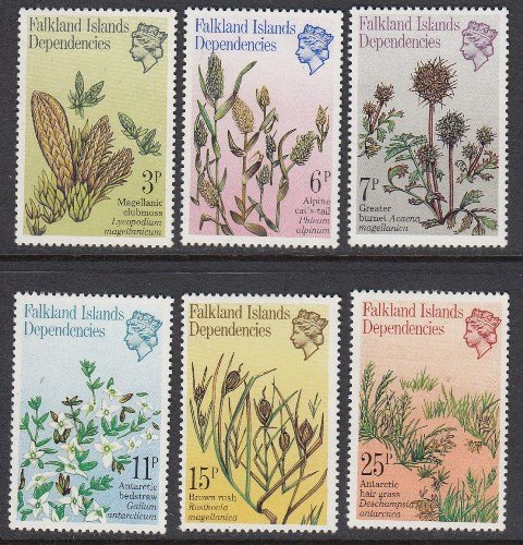 Falkland Dependencies 1L53-8 Grasses mnh