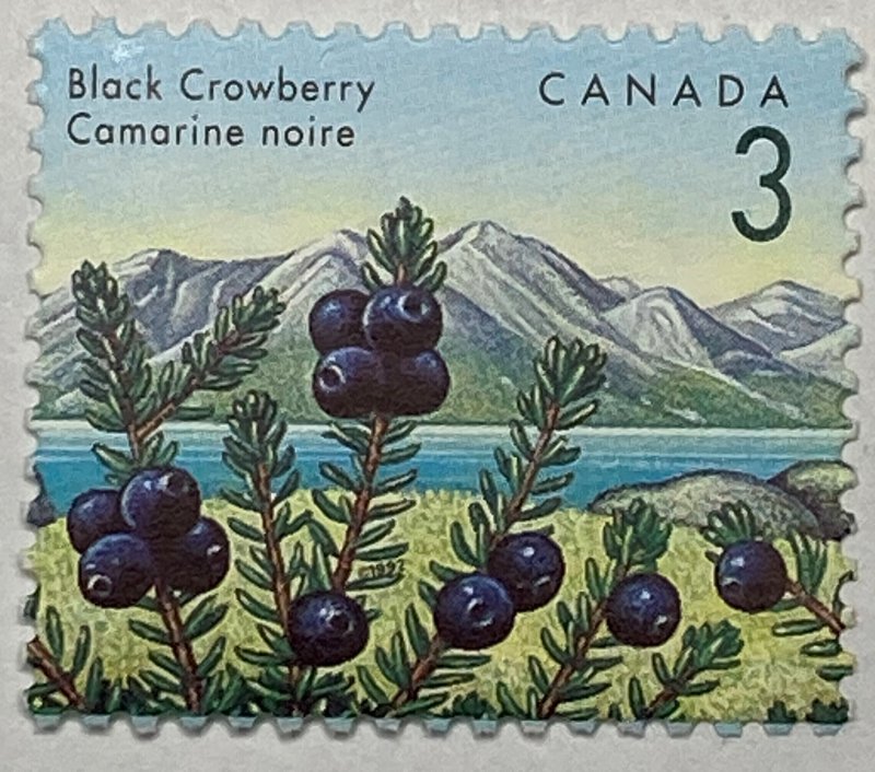 CANADA 1992-1998 #1351 Edible Berries Definitives - MNH