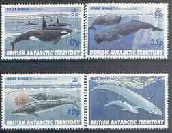 British Antarctic Territory 1996 Whales perf set of 4 unm...