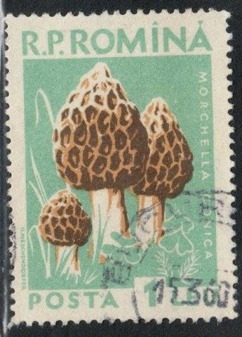 Romania Scott No. 1231