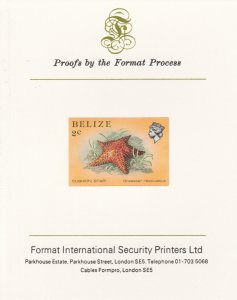 BELIZE 1984 MARINE LIFE imperf on FORMAT INT PROOF CARD