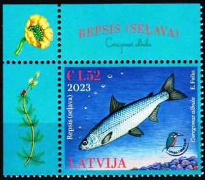 LATVIA 2023-05 FAUNA Animals: Fish. Nature Protection. UL CORNER, MNH