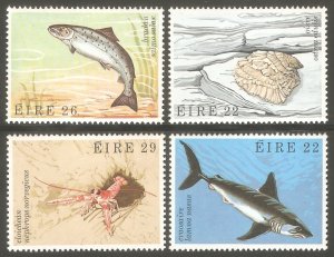 IRELAND Sc# 525 - 528 MNH FVF Set4 Marine Life Shark Oyster Salmon Prawns