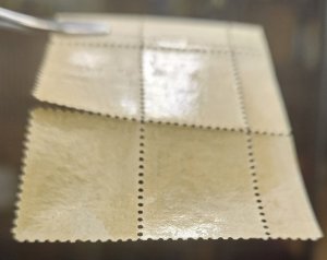 1868 Canada Revenue 9 Cents Queen Victoria Federal Bill Stamp Third Issue