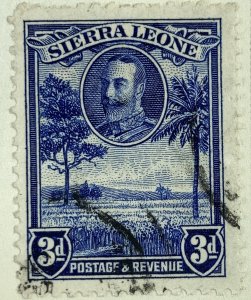 AlexStamps SIERRA LEONE #144 VF Used 
