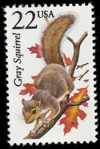# 2295 MINT NEVER HINGED GRAY SQUIRREL VF+