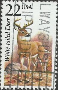 # 2317 USED WHITE-TAILED DEER