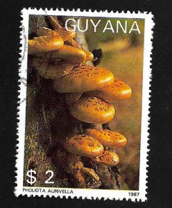 Guyana 1988 - FDI - Scott #1864C