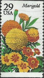# 2832 USED MARIGOLD