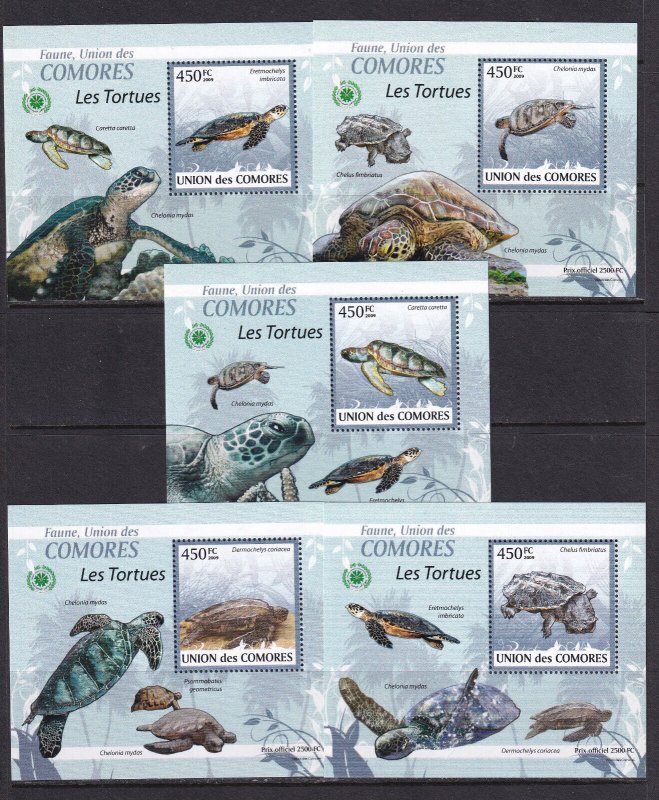 Comoros 2009 Fish Turtles 5 S/Sheets Deluxe Edition MNH