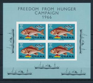 [36584] Ghana 1966 Freedom from hunger Marine life Fish S/S MNH