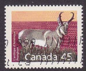 Pronghorn - Scott # 1172