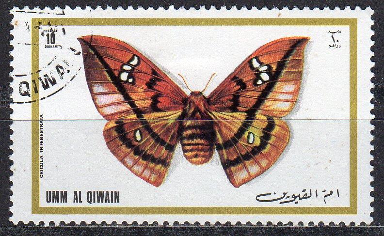 Umm al Qiwain (Unlisted) - CTO - Butterfly / Moth