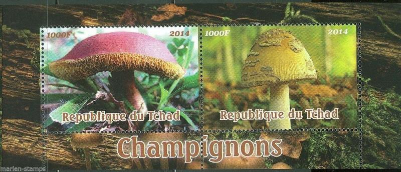 CHAD 2014  MUSHROOMS SOUVENIR SHEET  MINT NH