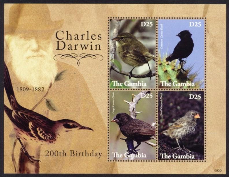 Gambia Sc# 3240 MNH Charles Darwin / Birds (M/S)