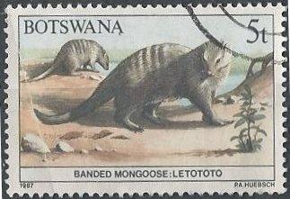 Botswana 408 (used) 5t banded mongoose (1987)