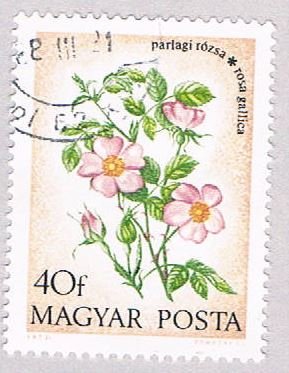 Hungary Flower 40 (AP102903)