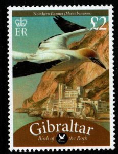 GIBRALTAR SG1259a 2009 £2 BIRDS OF THE ROCK MNH