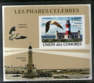 Comoro Islands 2008 Lighthouse Birds Wildlife Animals Imperf M/s MNH # 5836