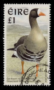 IRELAND QEII SG1060, 1997 £1 Greenland white fronted Goose, FINE USED.