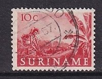 Surinam   #258   used  1953  woman picking fruit    10c