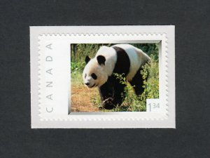 GIANT PANDA BEAR 1.34 rate Personalized Picture Postage Canada 2013 [p4r4/3]