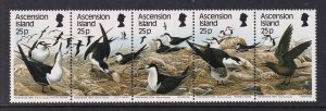 Ascension 453 Birds MNH VF