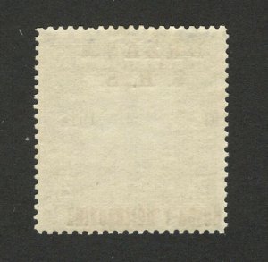 BOSNIA - SHS -MNH STAMP, 2 K - ERROR -TETE BECHE OVERPEINT DRŽAVA S.H.S.-1918