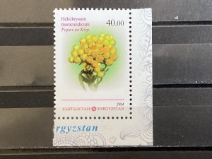 Kyrgyzstan / Kirgizië - Postfris/MNH - Medicinal Plants 2014