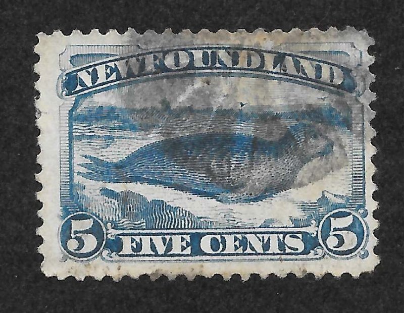 Newfoundland Scott 55 UH - 1894 5c Bright Blue Harp Seal - SCV $6.50