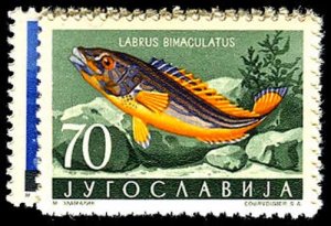 YUGOSLAVIA 452-59  Mint (ID # 52202)