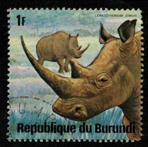 Rhinoceros, Animals, 1F (T-5004)