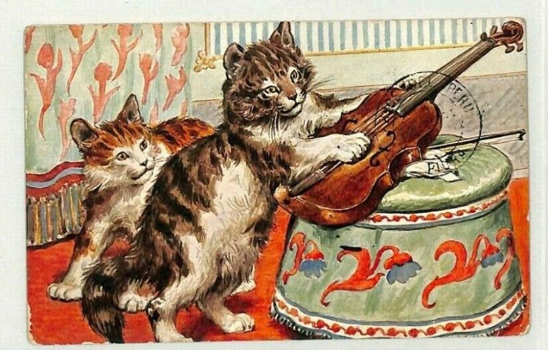 Peru CATS Postcard VIOLIN Paita MUSICAL Danzig 1911 {samwells-covers} CG137