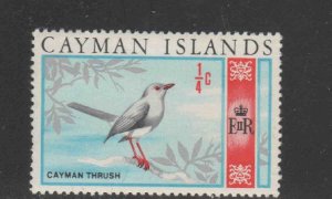 CAYMAN ISLANDS #210  1969  1/4p GRAN CAYMAN THRUSH     MINT VF LH  O.G