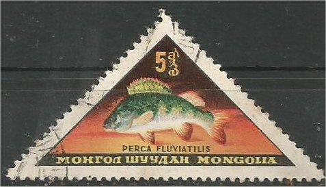 MONGOLIA, 1962, CTO 5m, Fish Scott 308