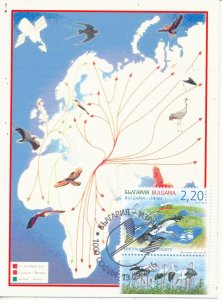 BULGARIA 2016 FAUNA BIRDS JOINT ISSUE ISRAEL STAMP MAXIMUM CARD