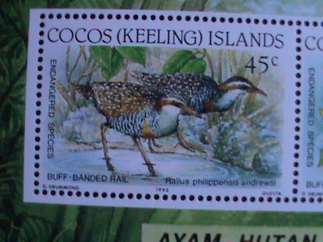 COCOS(KEELING) ISLANDS 1992 ENDANGER SPECIES-LOVELY BIRDS -MNH SHEET VF