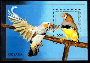 Guinea 1995 Poephila Guttata - Bird Mint MNH Miniature Sheet SC 1374