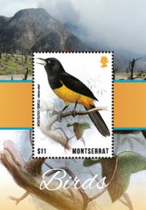 Montserrat 2018 - Oriole, Birds - Souvenir Stamp Sheet - Scott #1415 - MNH