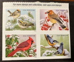 US # 5129a Song Birds block of 8 (4 on each side) forever 2016 Mint NH