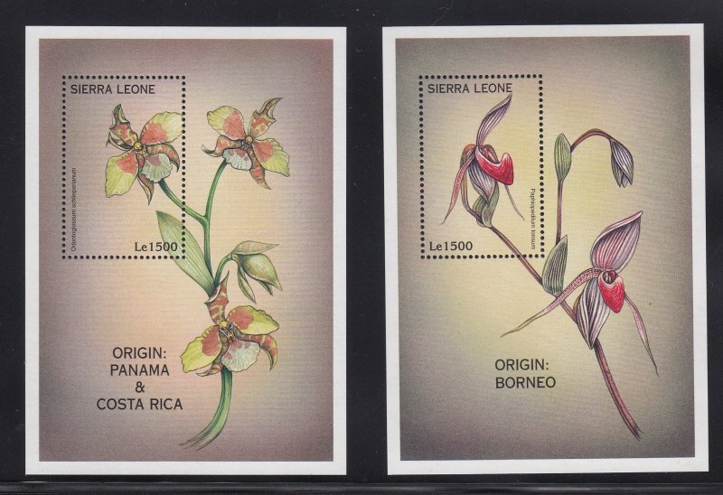 Sierra Leone 2060-1 Orchids SS mnh